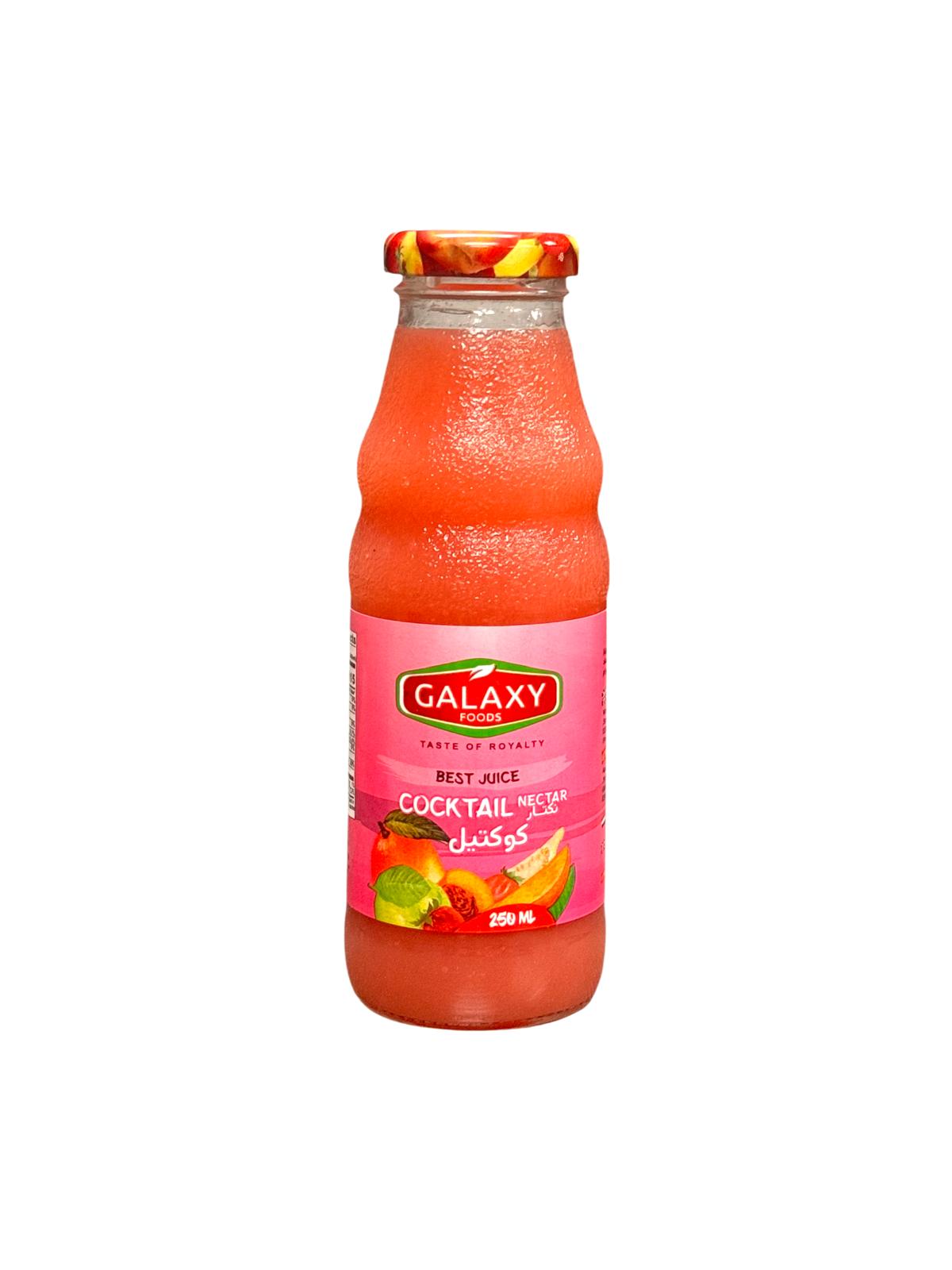 HJ-1130923 COCKTAIL JUICE 250ML | GALAXY FOODS