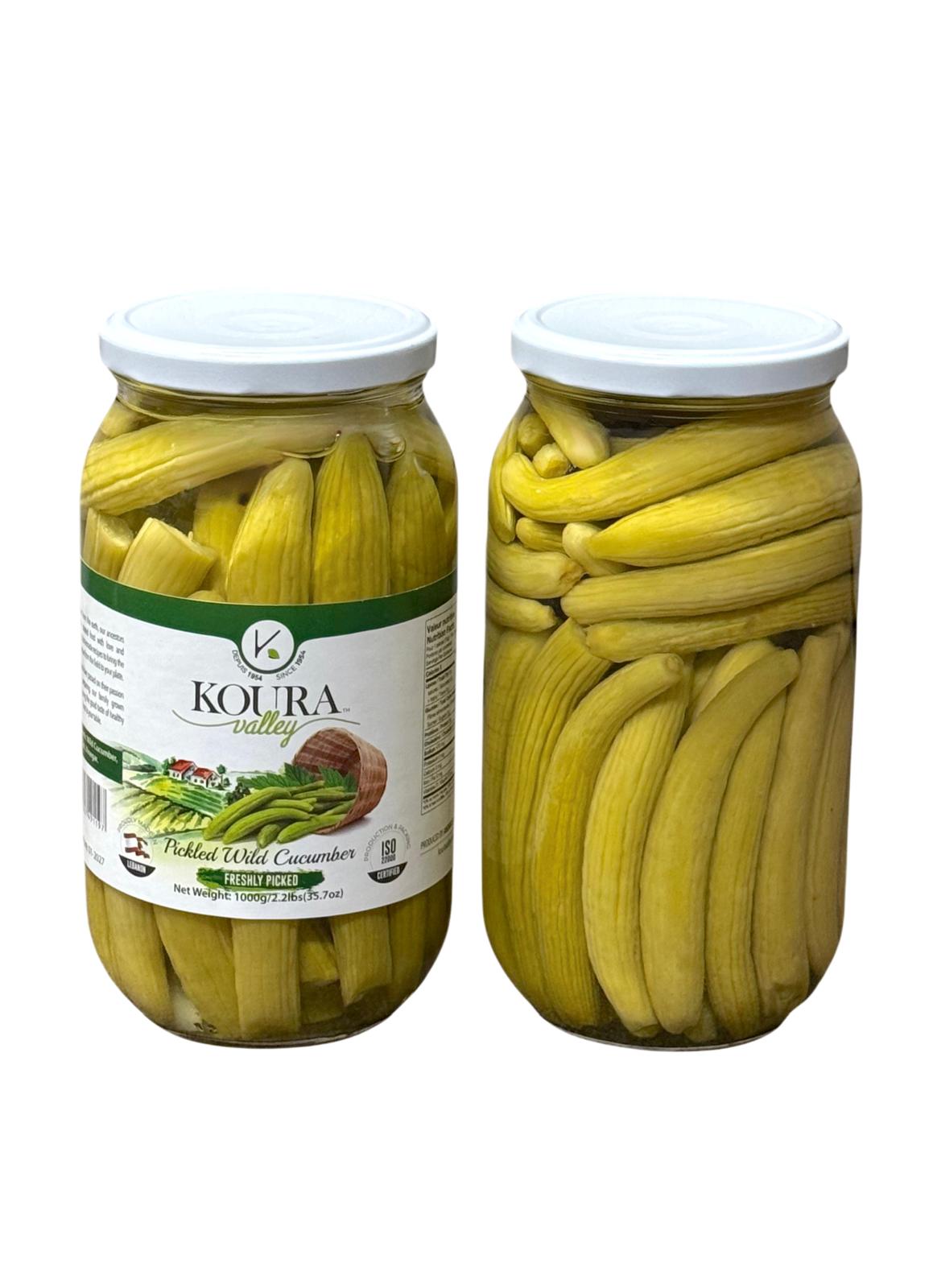 EP-1075902 PICKLED WILD CUCUMBER 1000G | KOURA