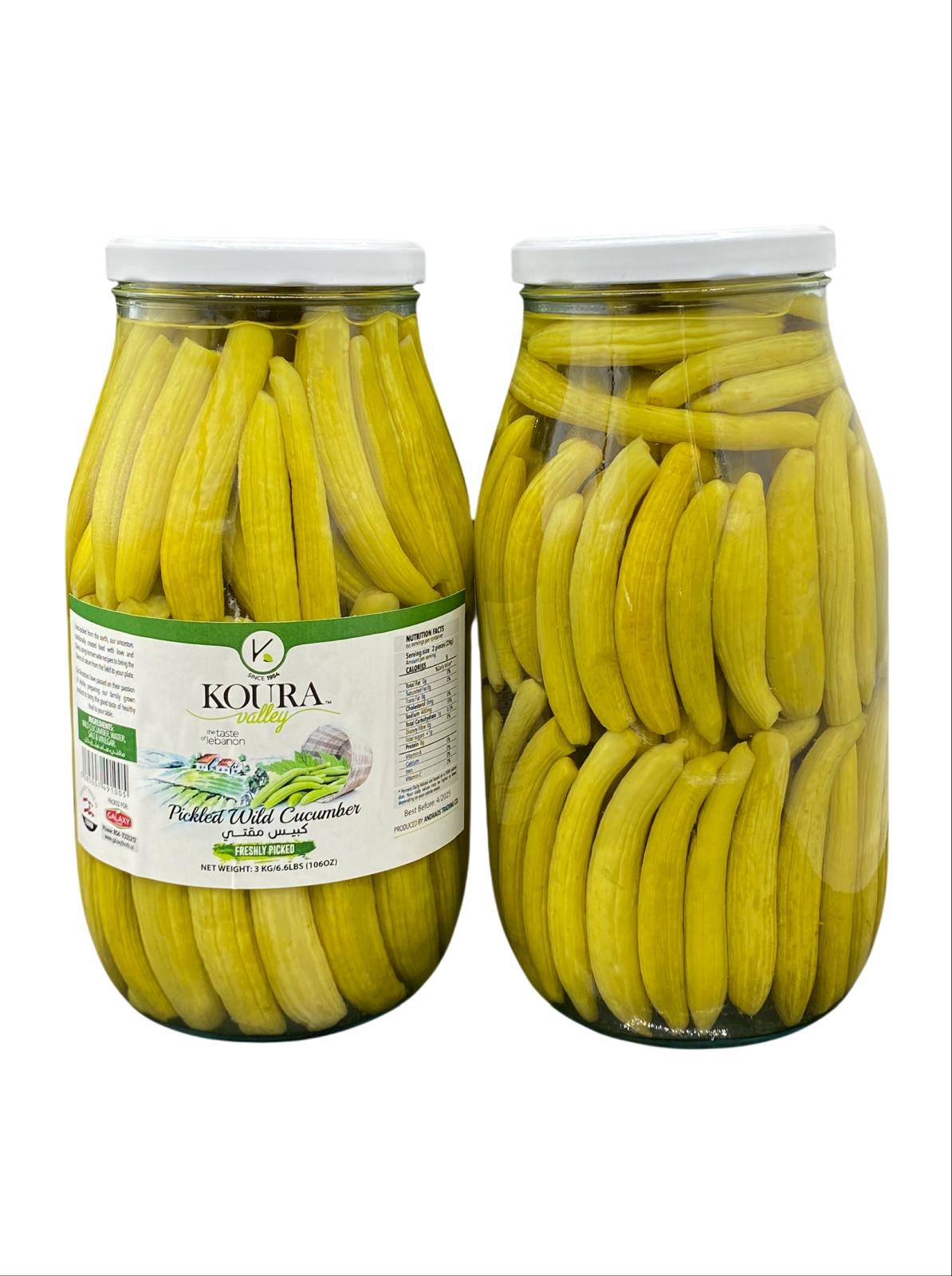 EP-1075904 PICKLED WILD CUCUMBER 3000G |  KOURA